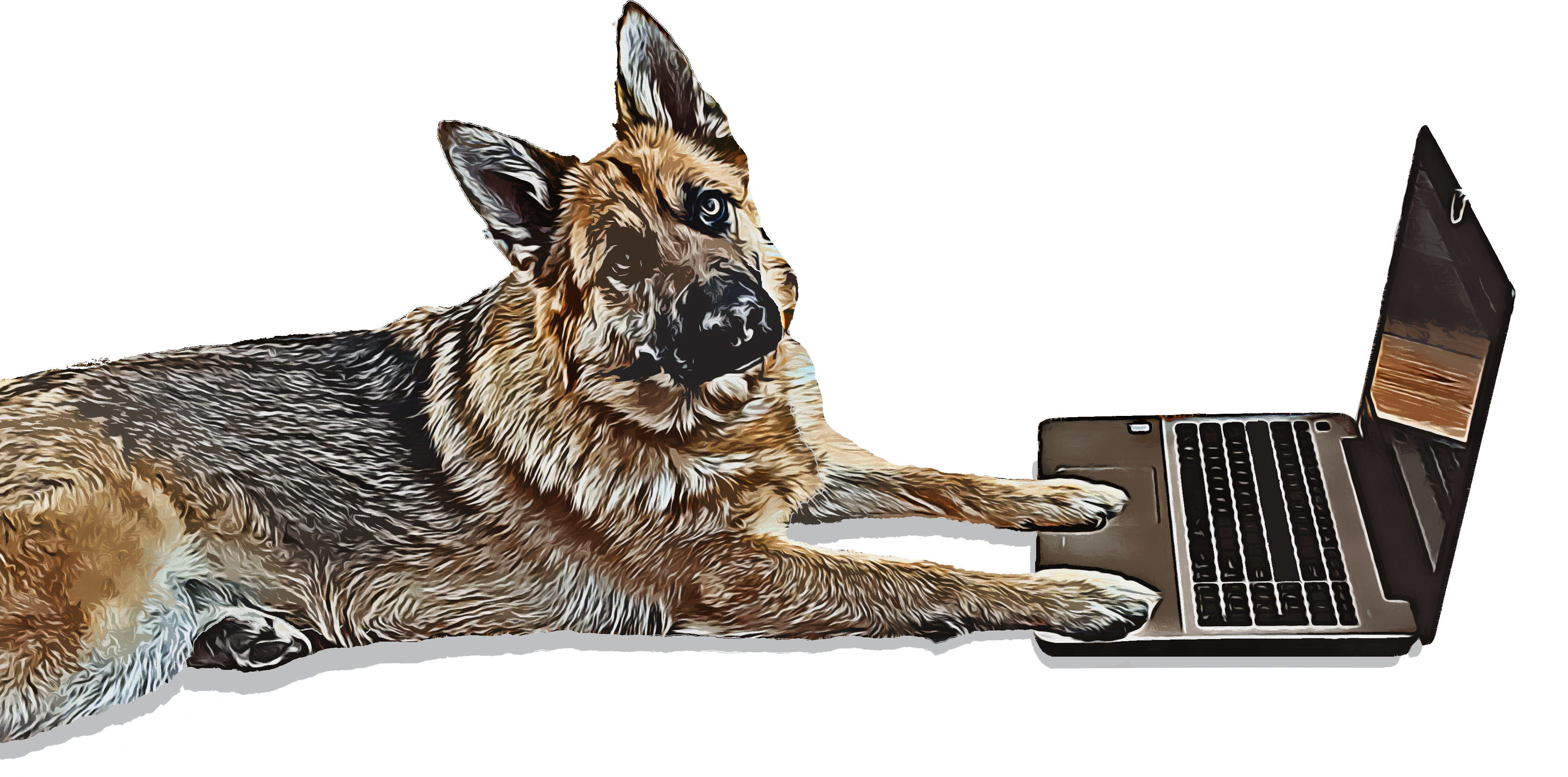 GSD with laptop